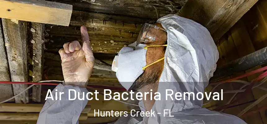 Air Duct Bacteria Removal Hunters Creek - FL