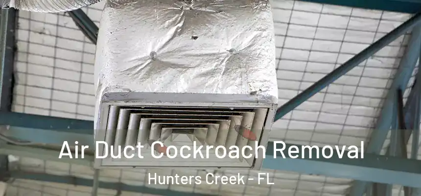 Air Duct Cockroach Removal Hunters Creek - FL