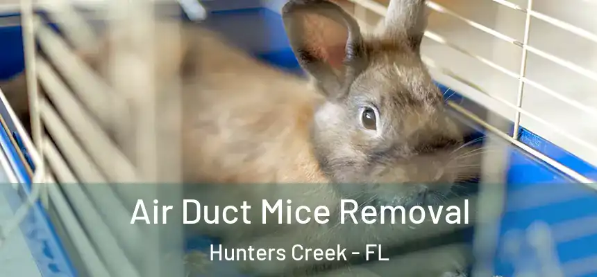  Air Duct Mice Removal Hunters Creek - FL