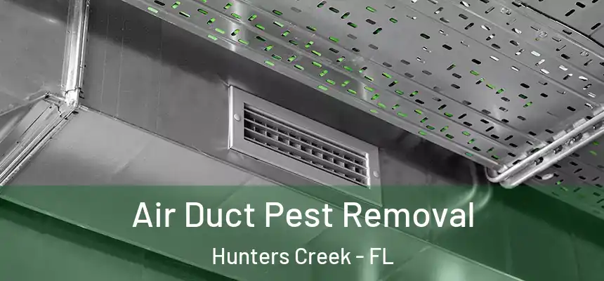  Air Duct Pest Removal Hunters Creek - FL