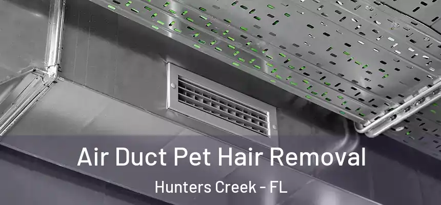 Air Duct Pet Hair Removal Hunters Creek - FL