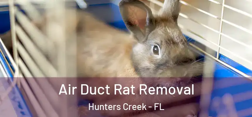 Air Duct Rat Removal Hunters Creek - FL
