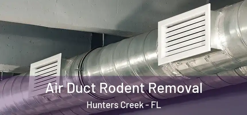  Air Duct Rodent Removal Hunters Creek - FL