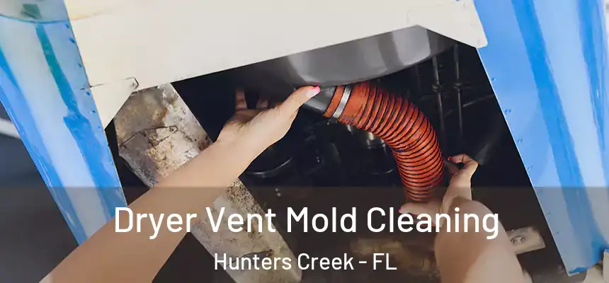 Dryer Vent Mold Cleaning Hunters Creek - FL