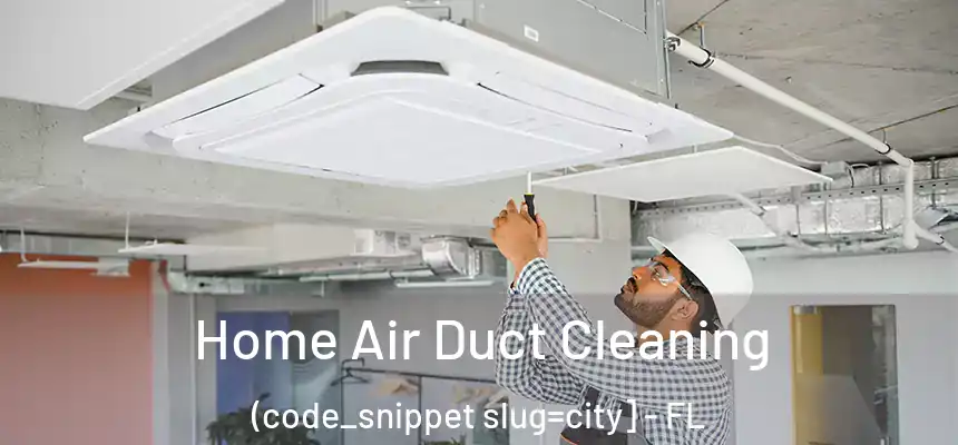  Home Air Duct Cleaning (code_snippet slug=city] - FL