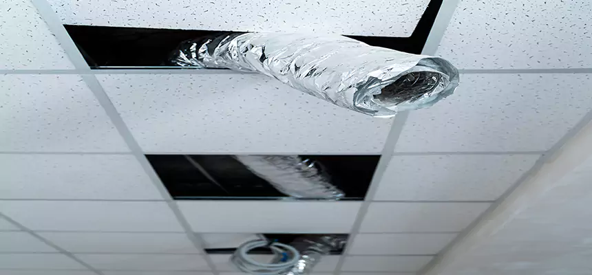 Our Air Duct Pet Hair Removal Services in Hunters Creek, FL