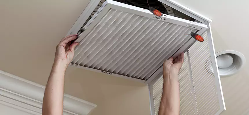 Our Insect Removal from Air Ducts Services in Hunters Creek, FL