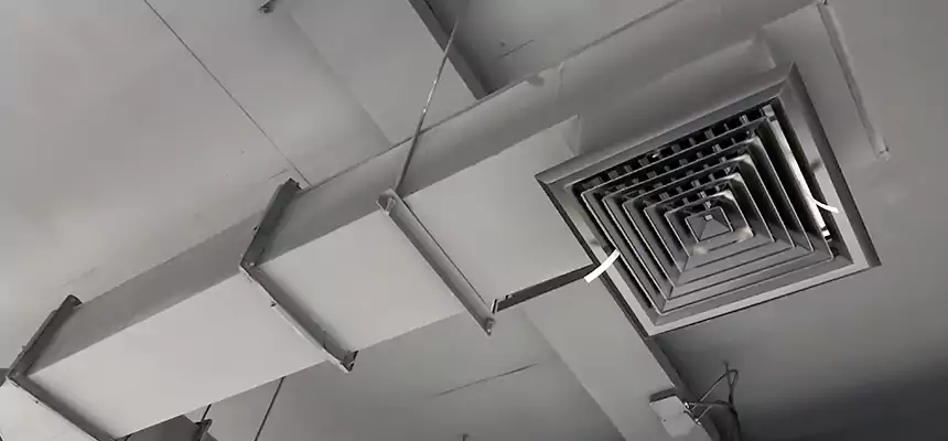 Our Rodent Droppings In Vents Services in Hunters Creek, FL