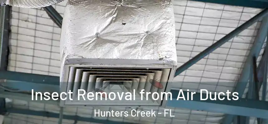 Insect Removal from Air Ducts Hunters Creek - FL
