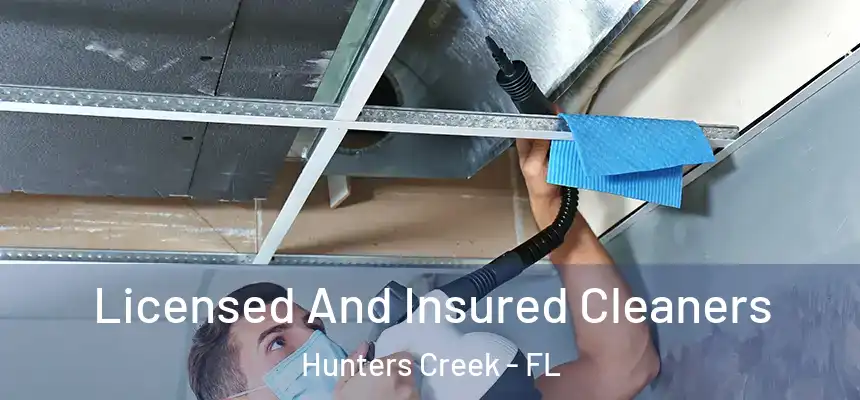 Licensed And Insured Cleaners Hunters Creek - FL