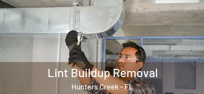 Lint Buildup Removal Hunters Creek - FL