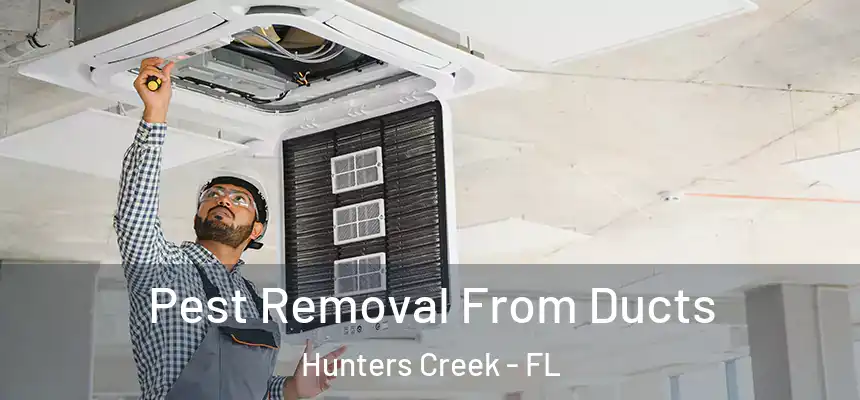 Pest Removal From Ducts Hunters Creek - FL
