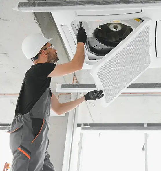 About Air Duct Rodent Removal in Hunters Creek, FL