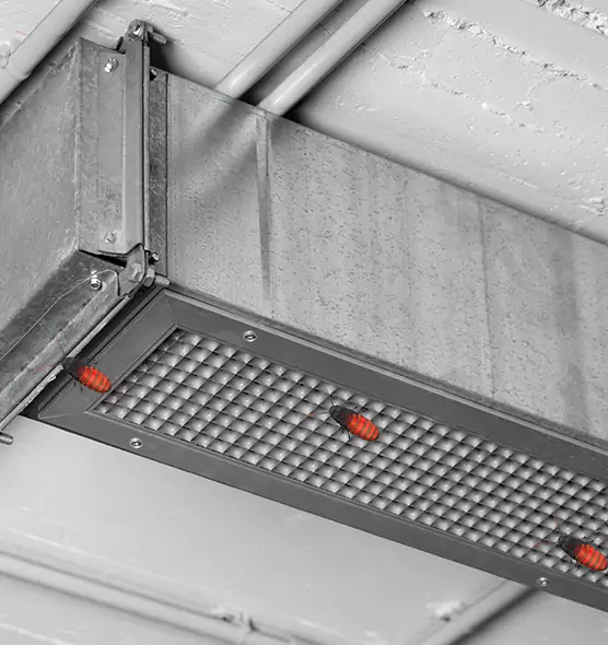 Affordable Insect Removal from Air Ducts in Hunters Creek, FL