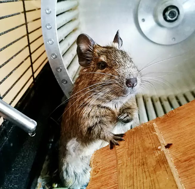 Why Homeowners & Businesses Trust Us Hunters Creek, FL