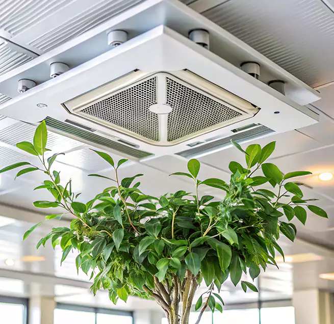 Why Homeowners & Businesses Trust Us in Hunters Creek, FL?