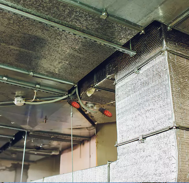 Why Homeowners & Businesses Trust Us Hunters Creek, FL?