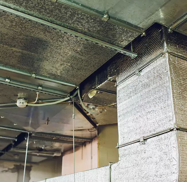 Why Homeowners & Businesses Trust Us in Hunters Creek, FL?